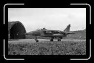 Bierset RAF Jaguar XX744 (2) * 1640 x 1004 * (483KB)